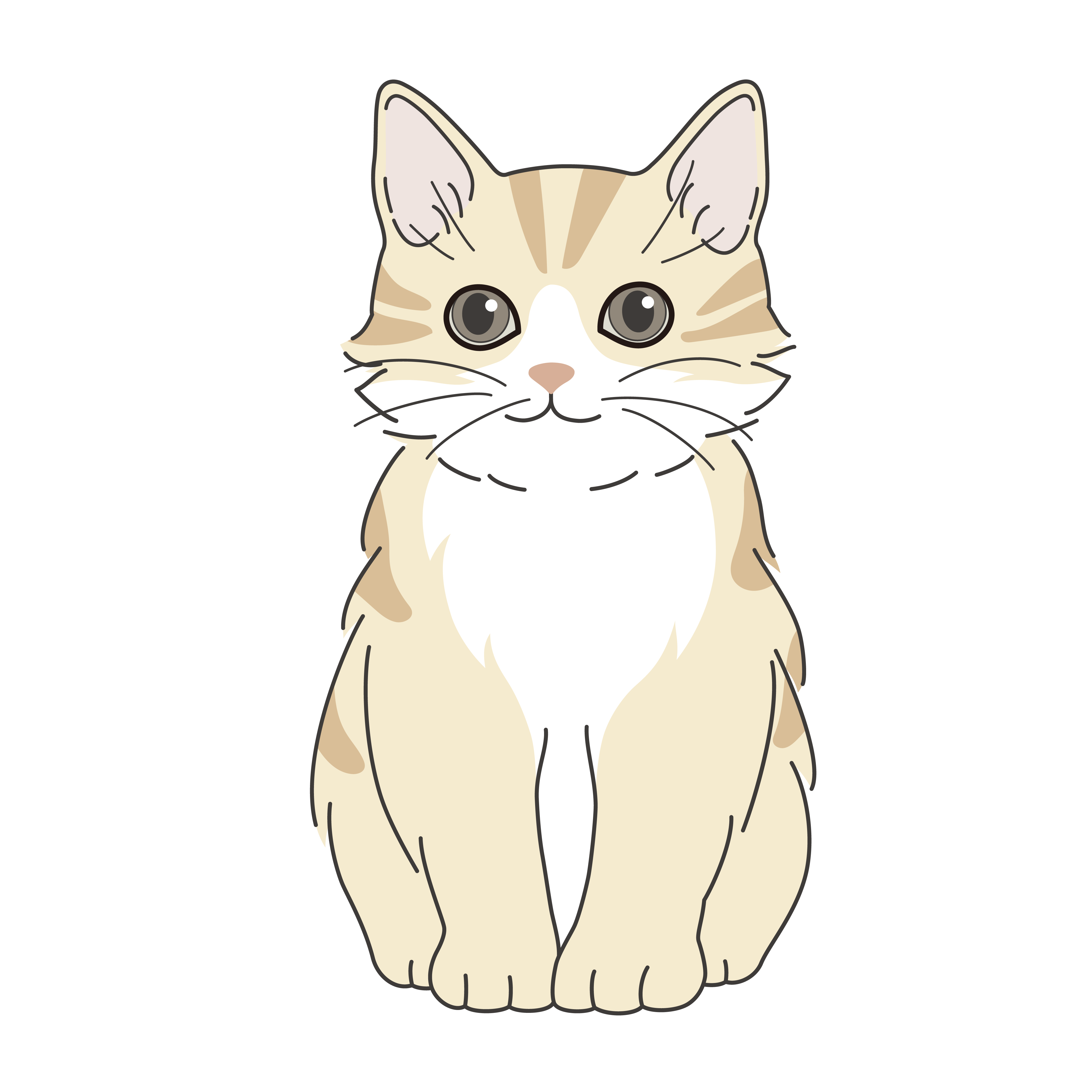 Cat illustration